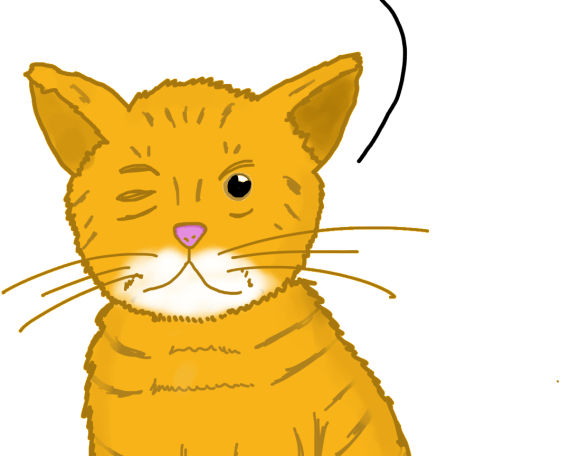 Guyfur, an orange cat is seen talking about public sector cuts in NZ